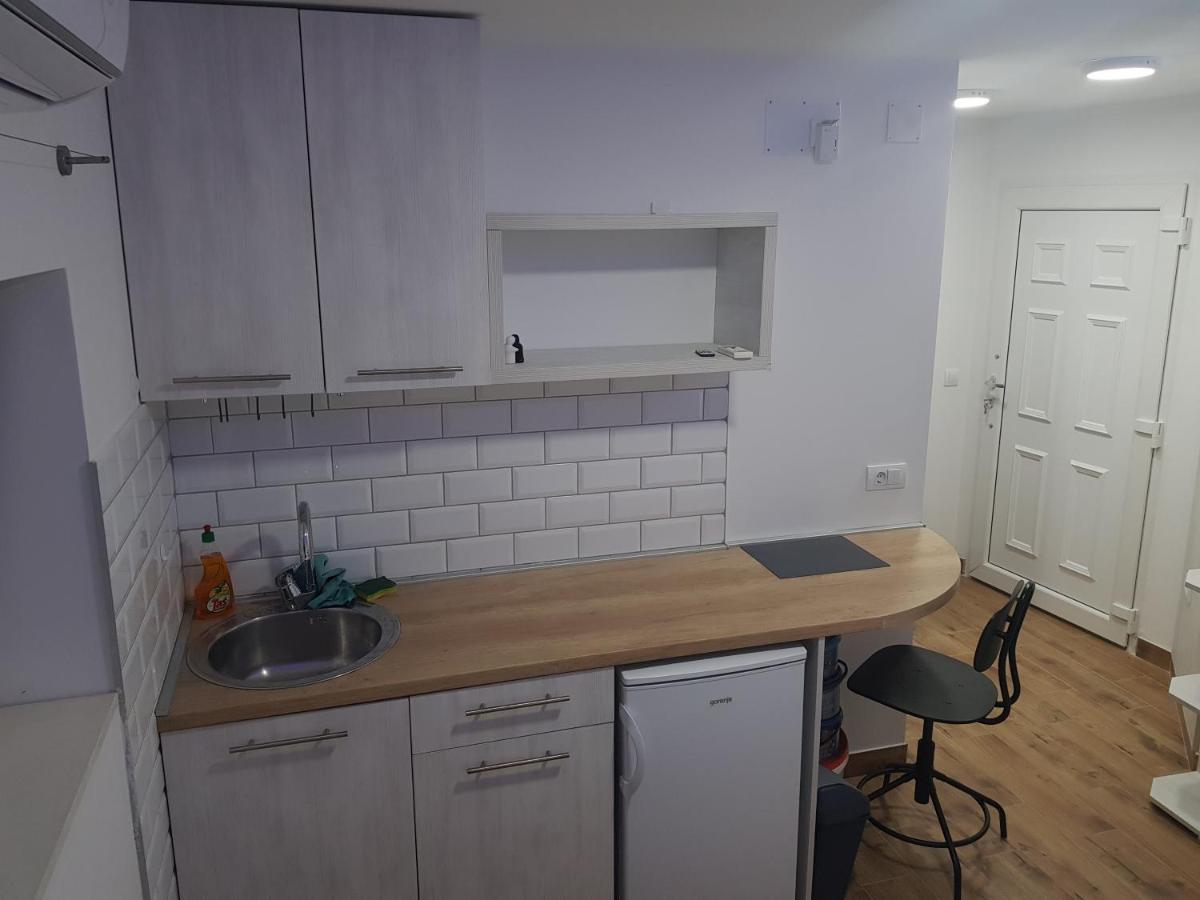 Appartamento Studio Skadarlija Belgrado Esterno foto